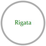 Rigata