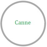 Canne